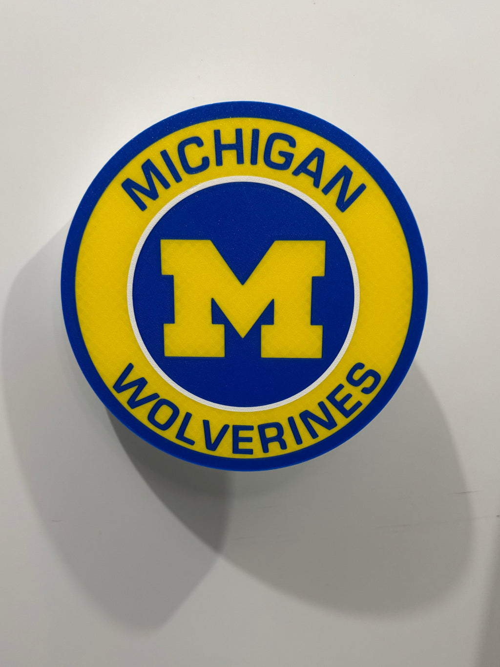Michigan Wolverines Wall Plaque Sign