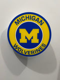Michigan Wolverines Wall Plaque Sign