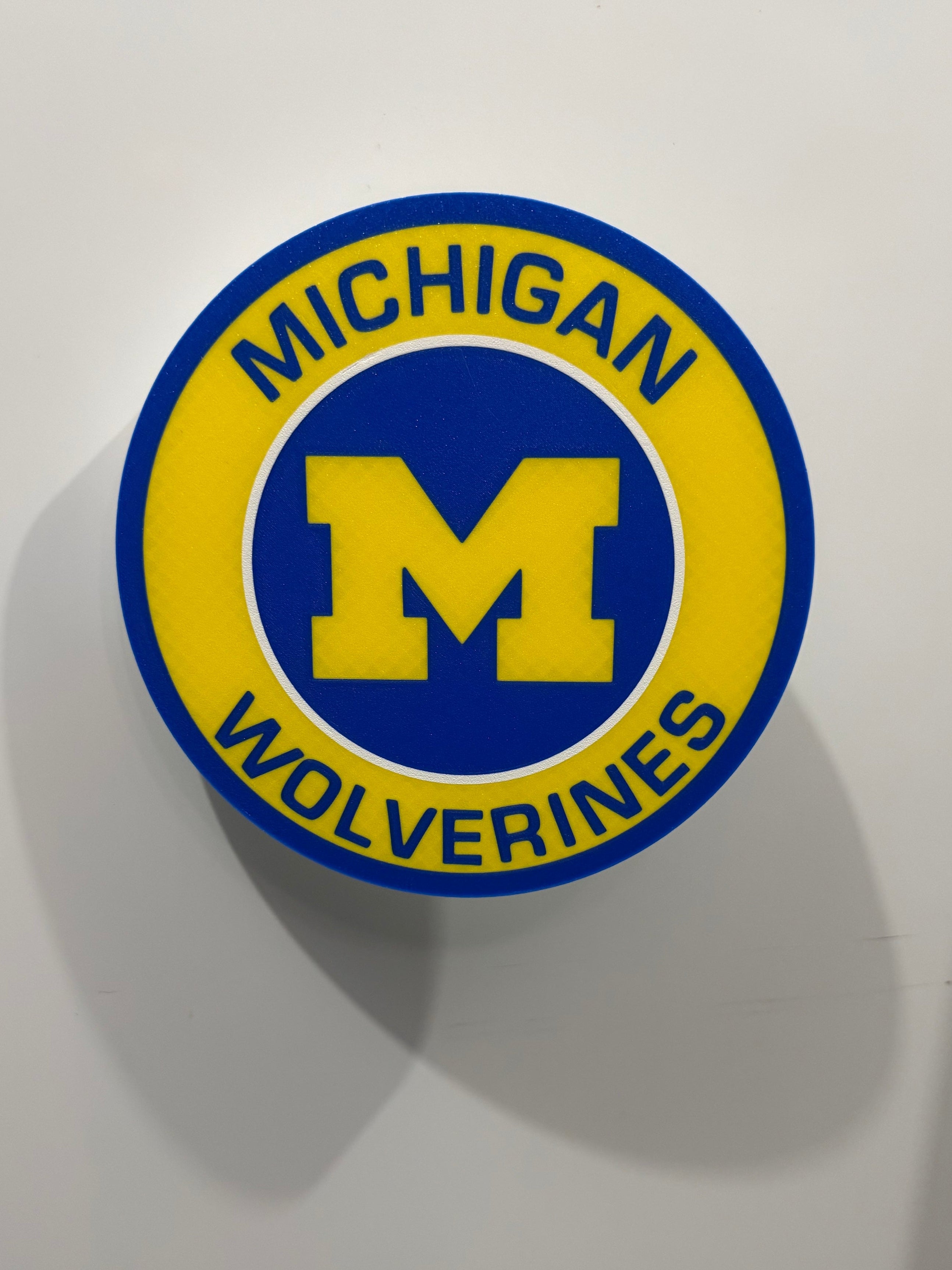 Michigan Wolverines Wall Plaque Sign