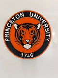 Princeton Univeristy Wall Plaque Sign