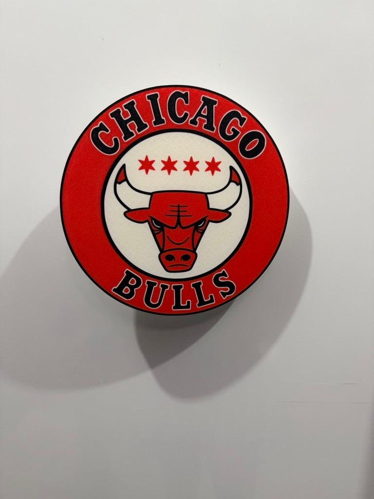 Chicago Bulls Wall Plaque Sign